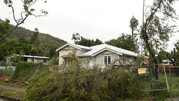 A tree is shown knocked over by strong winds on January 26, 2024 in Townsville, Australia