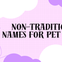 Non-traditional names for pet cats, from Yeti to Pot Roast