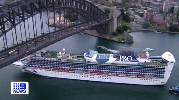 cruise ship news nz