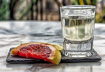 Which plant is distilled to produce mezcal?