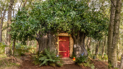 Airbnb: Winnie the Pooh's tree house