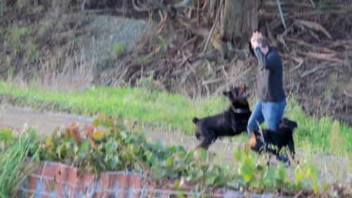 New Zealand man Oliver Beaumont, 22, who lives with Autism was viciously attacked by two Rottweilers over the weekend. Picture: Supplied.