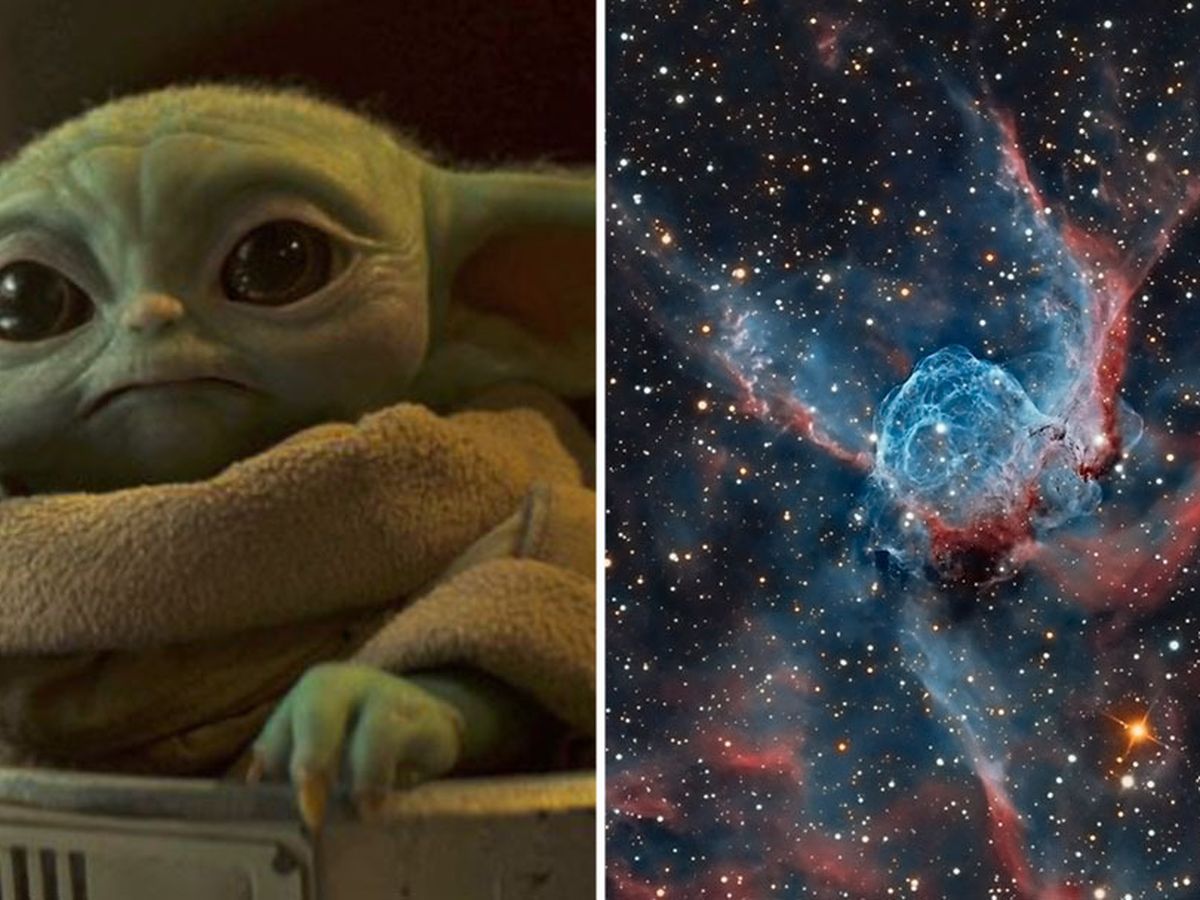 Why Baby Yoda Is So Adorable, According to Science