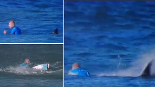 Mick Fanning battles the shark.