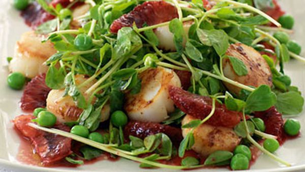 Scallops with peas & blood orange