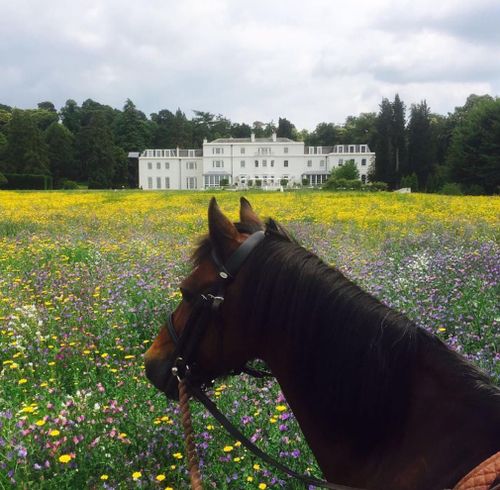 Prince Harry and Prince William will stay at Coworth Park. (Instagram)