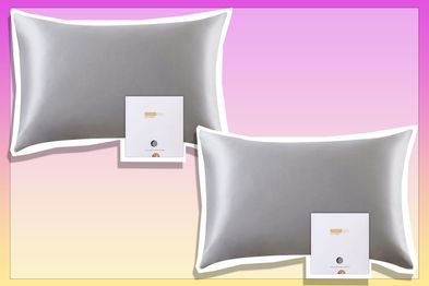 9PR: ZimaSilk silver pillowcase