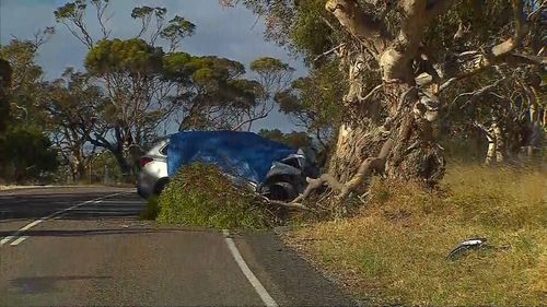 The Mitsubishi 4WD was travelling along Alaxndrina Road when the driver lost control just after 6am.