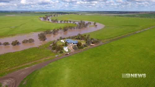 Teasing showers came a day after the Federal government dedicated a relief package to farmers. Picture: 9NEWS