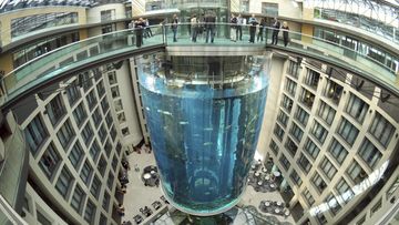 Operators say the aquarium has the biggest cylindrical tank in the world. It contained 1,500 tropical fish before the incident. (Joerg Carstensen via DPA)