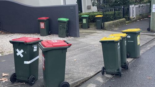 City of ï»¿Sydney Councillor ï»¿Adam Worling has moved a bold motion after noticing dozens of bins left out on the footpath and street long after collection day. 