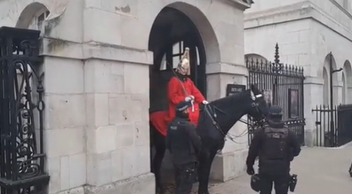 King's Guard yells at tourist during photo op