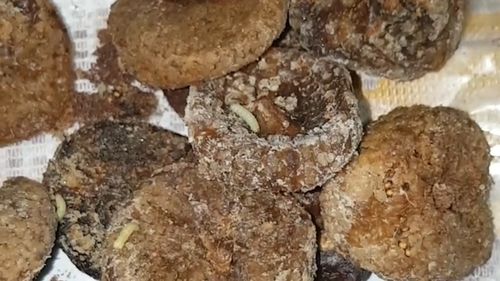 A 67-year-old Carramar man said he found maggots in a 500g packet of Dried Turkish Figs he bought from a Fairfield Woolworths in Sydney last month. Picture: Supplied.