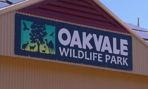 Oakvale Wildlife Park in Salt Ash, Port Stephens.