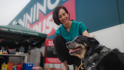 Sausage sizzle-inspired treat for dogs launched