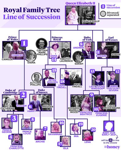 A handy guide to the British royal family tree and line of succession.