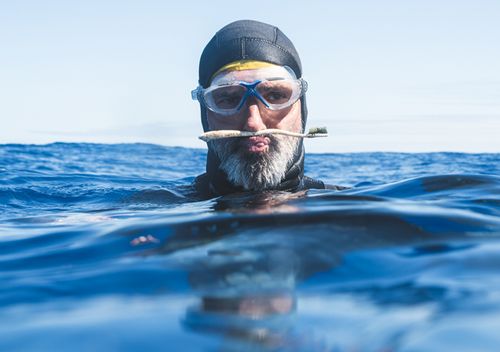 Everyday household items, such as this toothbrush, have floated into the vortex of the Great Pacific Garbage Patch. 