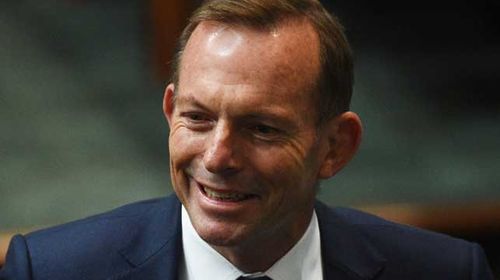 Abbott denies comeback report