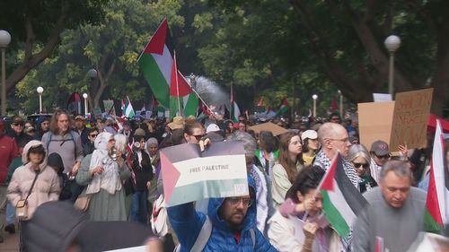 Pro-palestine protests file image
