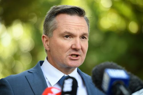 Opposition treasury spokesman Chris Bowen has defended Ms Husar publicly. Picture: AAP
