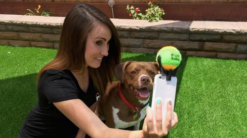 The crowd-funding campaign helping a US man create the ultimate gadget for perfect dog selfies