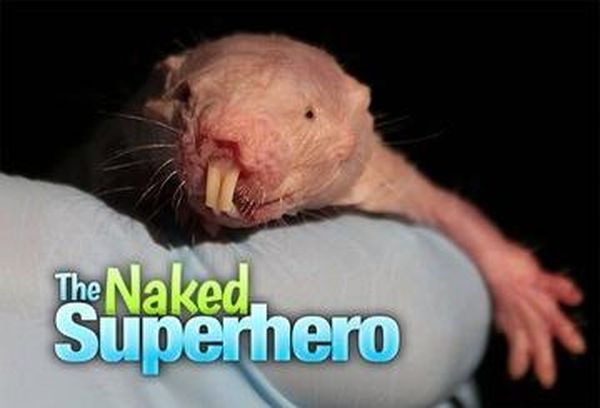 The Naked Superhero