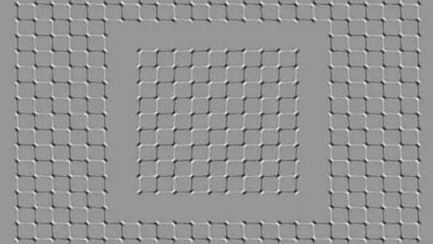 grey squares optical illusion