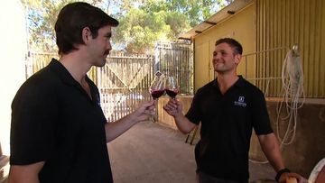 South Australian winemakers are toasting new opportunities after China lifted its tariff on Australian wine.