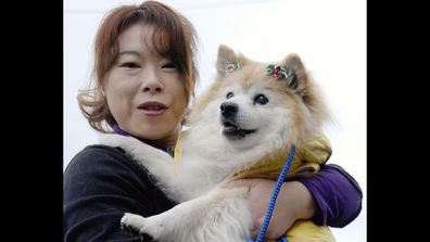 Pusuke (pictured), a Shiba Inu mix from Japan, was the oldest living dog, according to Guinness. But the mutt died in 2011 at the grand old age of 26, leaving the title in dispute. A 29-year-old terrier from the US named Max later claimed the title (but died aged 29 in 2013). A Polish mutt named Minius, believed to be more than 29 years old, (Yomiuri Shimbun/AFP/Getty Images)