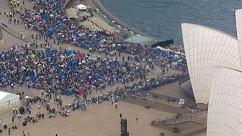 By midday today, they were packed in like sardines around the harbour. (9NEWS)