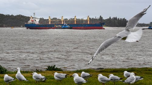 Portland Bay is guided by tugs as it sails into Botany Bay, Sydney.