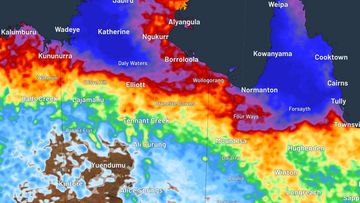 How rainfall in the Northern Territory and Far North Queensland could look by Tuesday January 16, if a tropical cyclone develops.