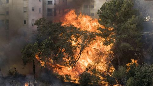 A picture taken on November 24, 2016 shows a fire raging in the northern Israeli port city of Haifa. (AFP)