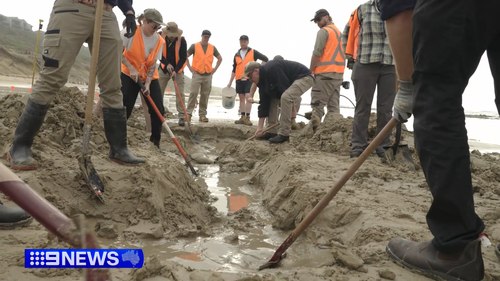 Ocean Grove whale fossil 20 million years old 26 February 2026