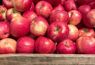 Apples (Getty)