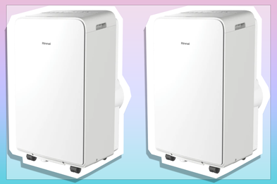 9PR: Rinnai C2.6kW Cooling Only Portable Air Conditioner RPC26MC