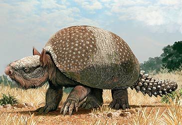 What genus of extinct megafauna is illustrated here?