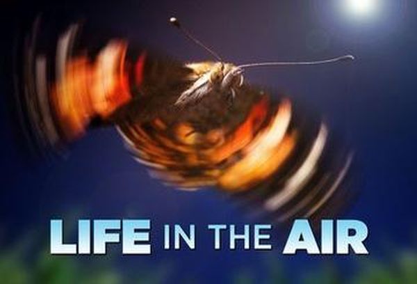 Life In The Air