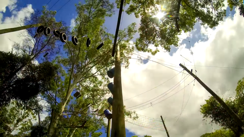 It's believed he was injured when he became tangled in the ropes. Picture: Supplied