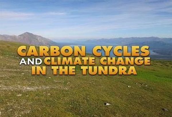 Carbon Cycles and Climate Change in the Tundra