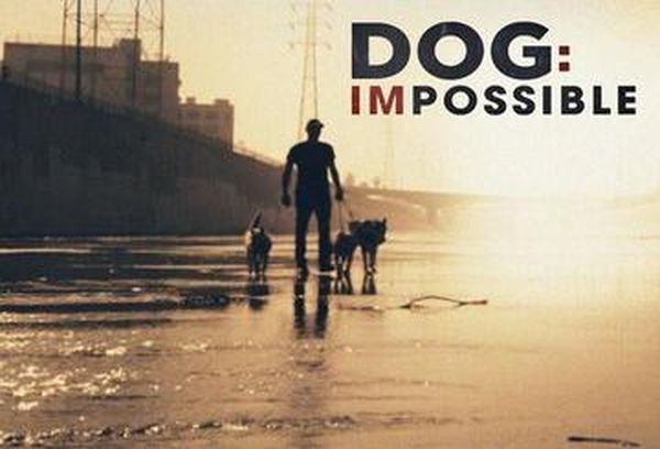 Dog: Impossible
