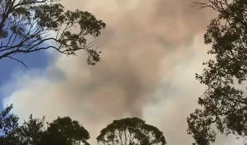 Smoke from a bushfire approaching the Burrum Coast National Park. (9NEWS)