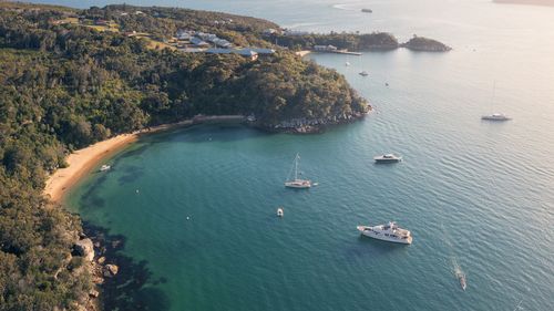 Boats moored in Middle Harbour near Store Beach, Manly.