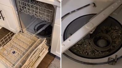 Just two household items got this dishwasher sparkling like new