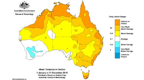Sydney experienced hottest year on record in 2016, Bureau of Meteorology confirms