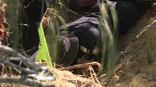 A police officer reaches down into the hole. Picture: 9NEWS