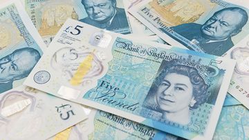 The Australian pioneer of the polymer bank note has said it's "stupid" that vegetarian and vegans are protesting in the UK about the five pound polymer note. (AFP)