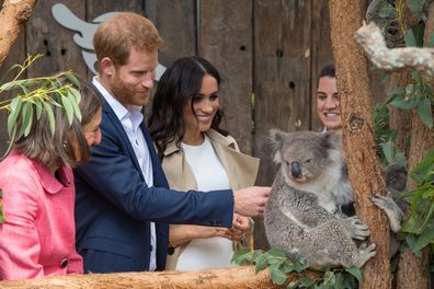 Prince Harry Meghan Markle royal tours best moments