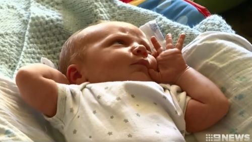 Ari is one of about a dozen Cyclone Debbie babies. (9NEWS)