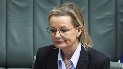 A líder da oposição, Sussan Ley, durante o período de perguntas no Parlamento em Canberra, na segunda-feira, 24 de novembro de 2025.